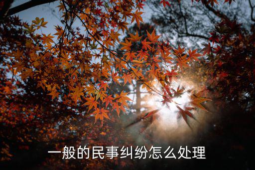 一般的民事糾紛怎么處理