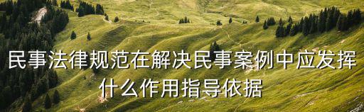 民事法律規(guī)范在解決民事案例中應(yīng)發(fā)揮什么作用指導(dǎo)依據(jù)