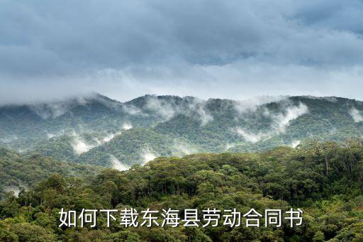勞動(dòng)合同書電子版模板下載，08年的新的勞動(dòng)合同書的范本可以下載或打印的