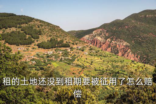 租賃土地未到期被征收補(bǔ)償給誰(shuí)，租的土地還沒到租期要被征用了怎么賠償