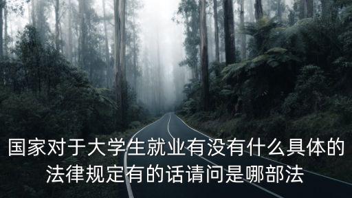 國家對于大學(xué)生就業(yè)有沒有什么具體的法律規(guī)定有的話請問是哪部法