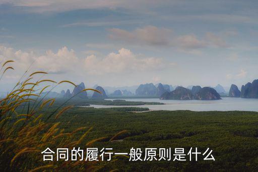 合同法60條規(guī)定，2014年國(guó)家出境游合同法60條的內(nèi)容是什么