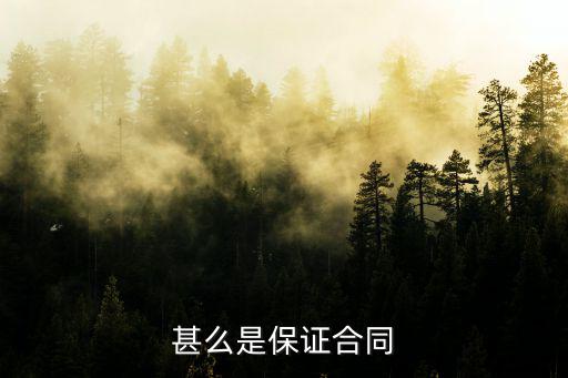 合同法選擇題保證合同屬于什么，保證合同是一種從合同的說法對(duì)嗎