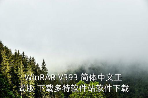 WinRAR V393 簡體中文正式版 下載多特軟件站軟件下載