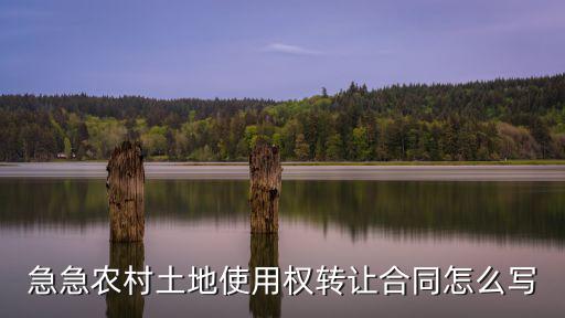 急急農(nóng)村土地使用權(quán)轉(zhuǎn)讓合同怎么寫(xiě)