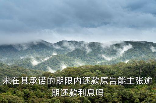 合同法第207條，未在其承諾的期限內(nèi)還款原告能主張逾期還款利息嗎