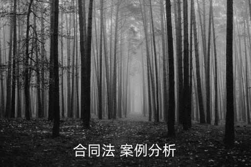 合同法 案例分析