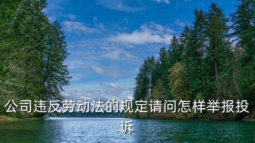 公司違反勞動(dòng)法的規(guī)定請(qǐng)問(wèn)怎樣舉報(bào)投訴