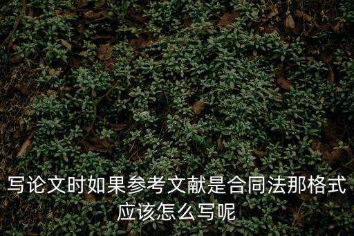 寫論文時如果參考文獻是合同法那格式應該怎么寫呢
