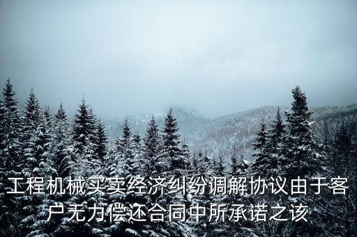 工程機(jī)械買賣經(jīng)濟(jì)糾紛調(diào)解協(xié)議由于客戶無力償還合同中所承諾之該