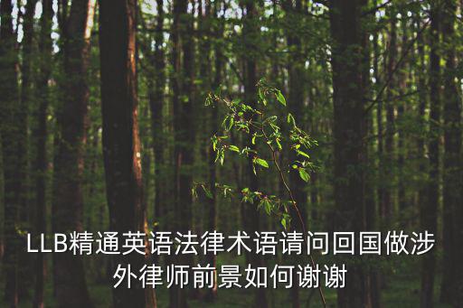 涉外律師英語，精通英語 曾在英國留學36歲剛考過司考 想做涉外律師 不知年紀會