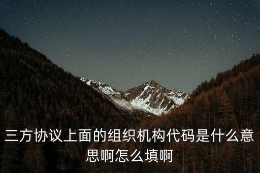 三方協議上面的組織機構代碼是什么意思啊怎么填啊