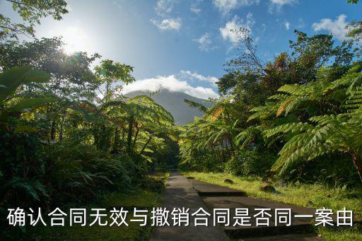 確認(rèn)合同無(wú)效與撒銷(xiāo)合同是否同一案由