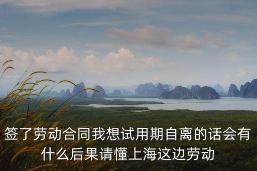 簽了勞動合同我想試用期自離的話會有什么后果請懂上海這邊勞動