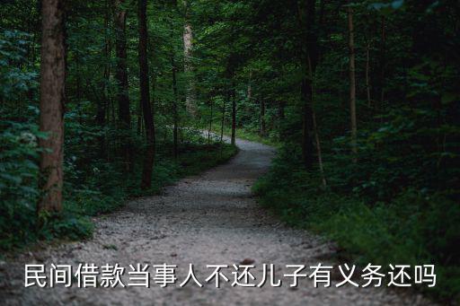 合同法207條國家有關(guān)規(guī)定，民間借貸合同中借款方的違約責(zé)任有哪些