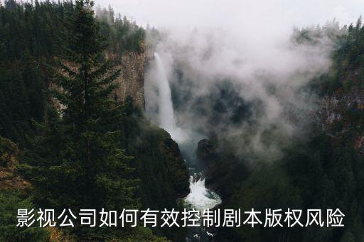 電影版權(quán)認(rèn)購(gòu)的風(fēng)險(xiǎn)，電影電視劇的版權(quán)合同的簽訂應(yīng)該注意哪些