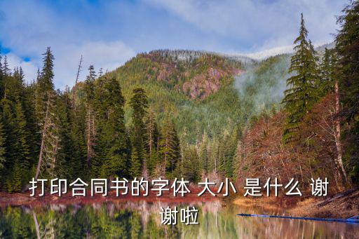 正規(guī)合同書(shū)字體大小，一般A4紙標(biāo)準(zhǔn)合同用多大字啊