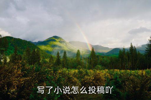 寫了小說怎么投稿吖