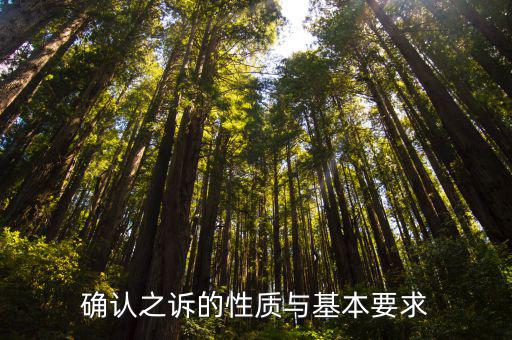 確認(rèn)之訴的性質(zhì)與基本要求