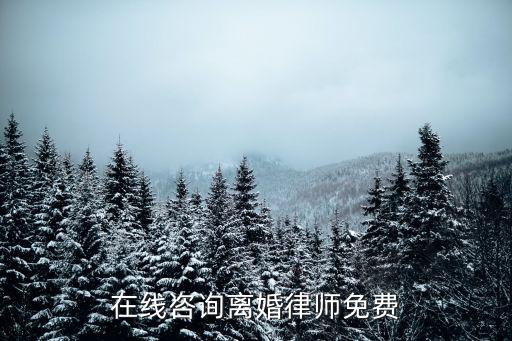 在線咨詢離婚律師免費(fèi)