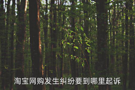 淘寶網(wǎng)購發(fā)生糾紛要到哪里起訴