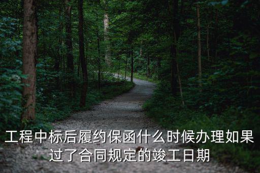建設(shè)工程履約保函，履約保函什么時(shí)候提交投標(biāo)時(shí)要提交嗎