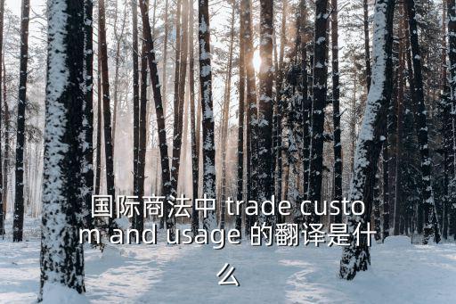 國際商法英文，國際商法中 trade custom and usage 的翻譯是什么