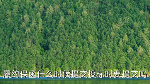 履約保函什么時(shí)候提交投標(biāo)時(shí)要提交嗎