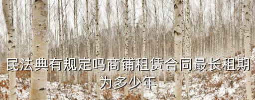 民法典有規(guī)定嗎商鋪租賃合同最長租期為多少年