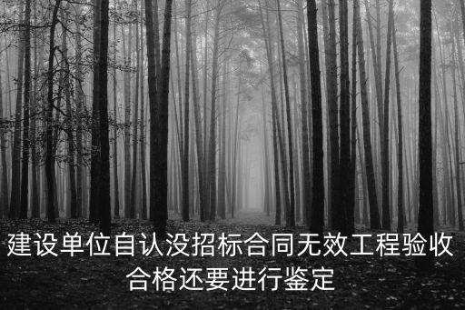 違反招投標法合同無效，招投標有違規(guī)行為 但是合同已簽 告狀有沒有效