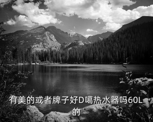 有美的或者牌子好D噶熱水器嗎60L的