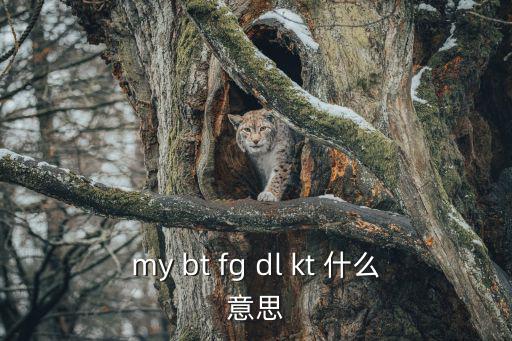 根據(jù)合同約定 英文，按協(xié)議約定方式支付的翻譯是什么意思