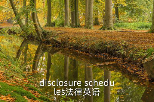 disclosure schedules法律英語(yǔ)