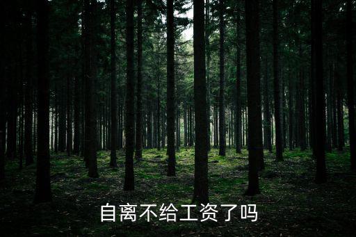 自離了是不是沒工資了，自動(dòng)離職沒工資了嗎