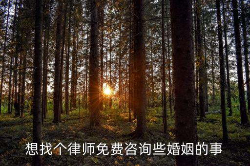 我想找個(gè)律師咨詢一下家庭問題，想找個(gè)律師免費(fèi)咨詢些婚姻的事