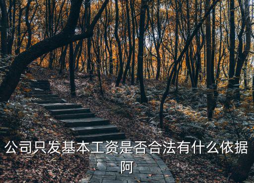 勞動(dòng)合同上只寫了基本工資合法嗎，公司只發(fā)基本工資是否合法有什么依據(jù)阿