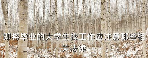 即將畢業(yè)的大學(xué)生找工作應(yīng)注意哪些相關(guān)法律