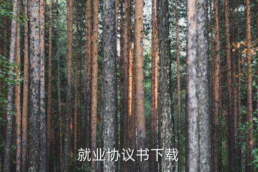 就業(yè)協(xié)議書下載