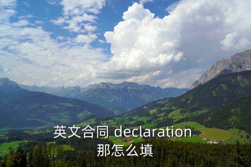 英文合同 declaration 那怎么填