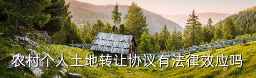 農(nóng)村個(gè)人土地轉(zhuǎn)讓協(xié)議有法律效應(yīng)嗎