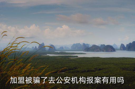 加盟被騙了報(bào)警有用嗎，加盟被騙了去公安機(jī)構(gòu)報(bào)案有用嗎