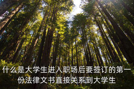 什么是大學生進入職場后要簽訂的第一份法律文書直接關(guān)系到大學生