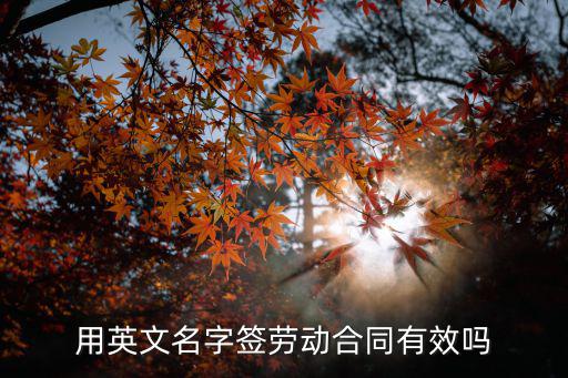 用英文名字簽勞動(dòng)合同有效嗎
