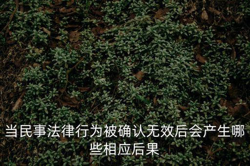 民法典合同無效法律后果規(guī)定，無效合同的法律后果有哪些具體情形是怎么樣