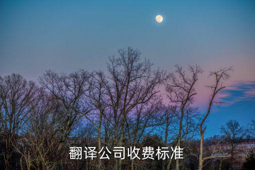翻譯公司收費標(biāo)準(zhǔn)