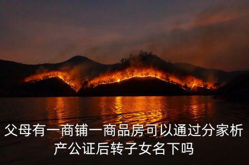 父母房子析產(chǎn)給子女，父母有一商鋪一商品房可以通過分家析產(chǎn)公證后轉(zhuǎn)子女名下嗎
