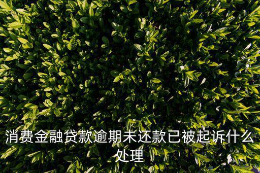 消費(fèi)金融貸款逾期未還款已被起訴什么處理