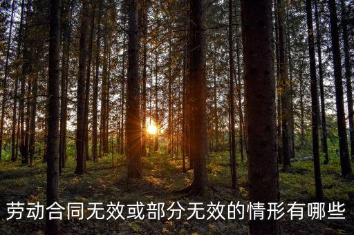 無(wú)效或部分無(wú)效的勞動(dòng)合同有哪些，哪些聘用合同無(wú)效