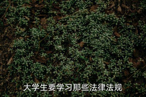 大學(xué)生要學(xué)習(xí)那些法律法規(guī)