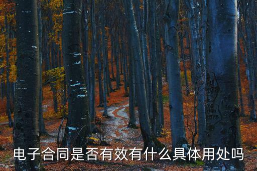 電子合同有用么，電子合同是否有效